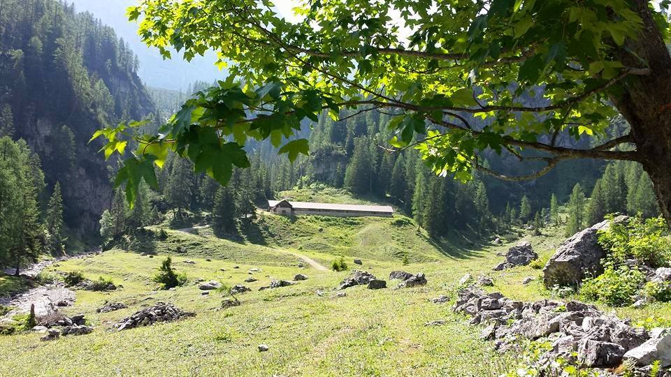 Non passare per il bosco - Trentino Cultura