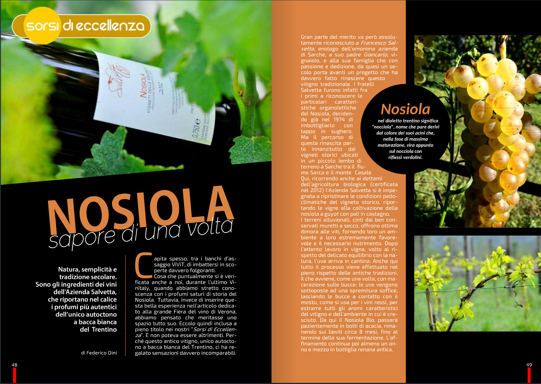 Pagina di una rivista dedicata al Nosiola