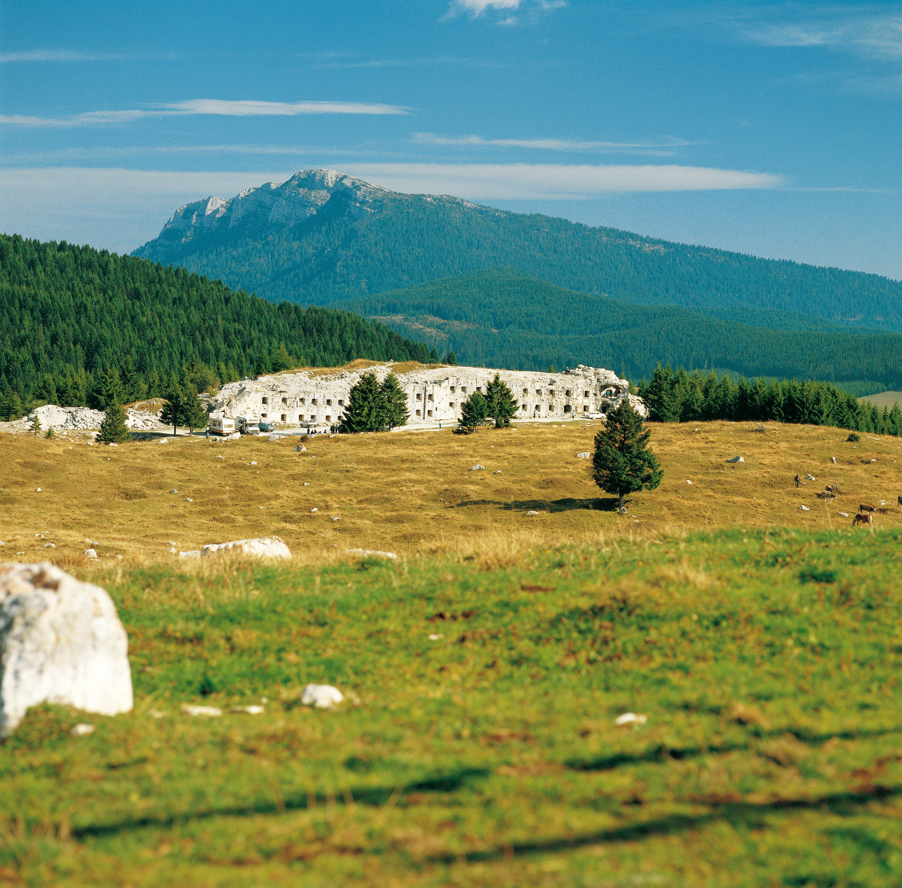 Dove andare in Trentino-Alto Adige in estate? forte